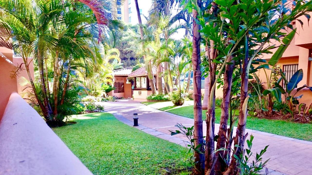 - Alicate Beachfront Apartment-9 Apartamento *