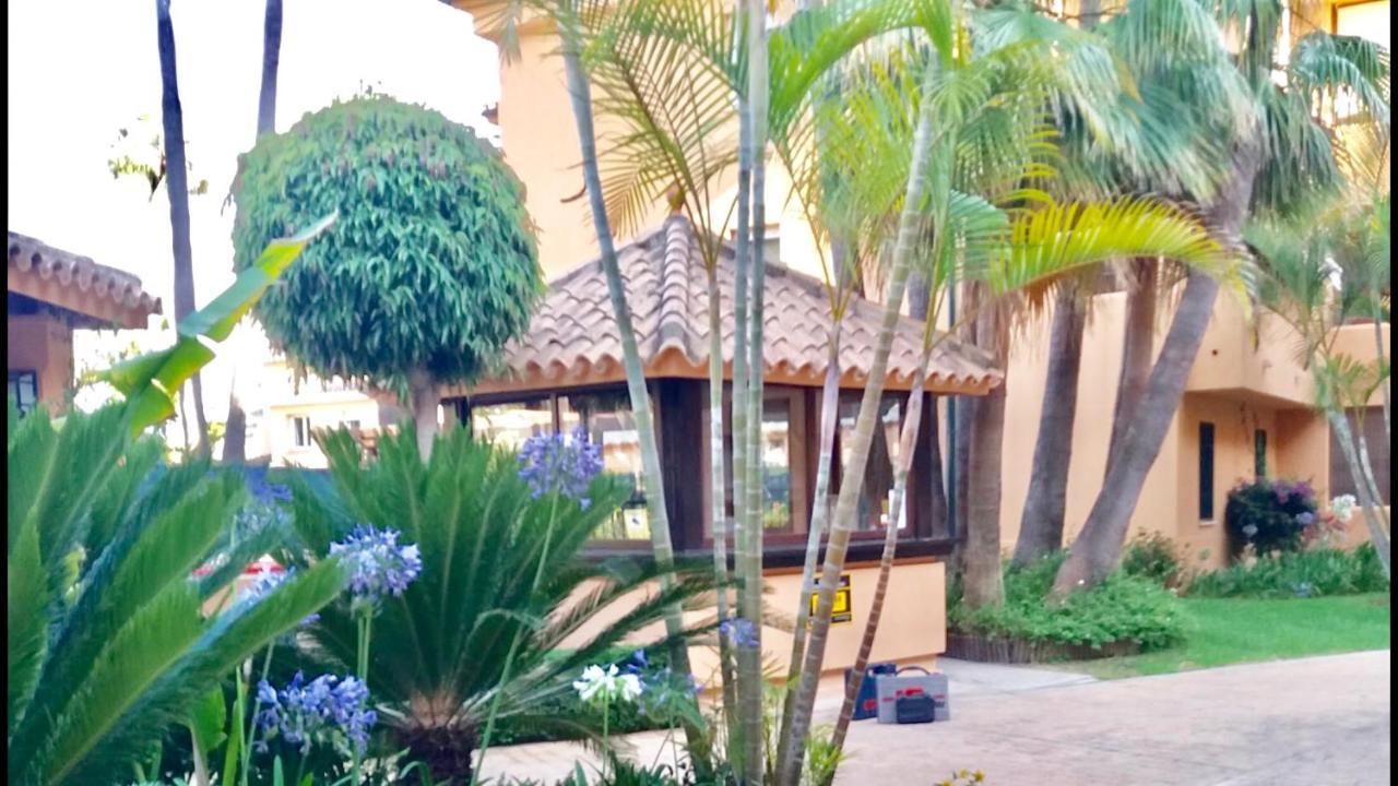 Apartamento - Alicate Beachfront Apartment-9 Marbella