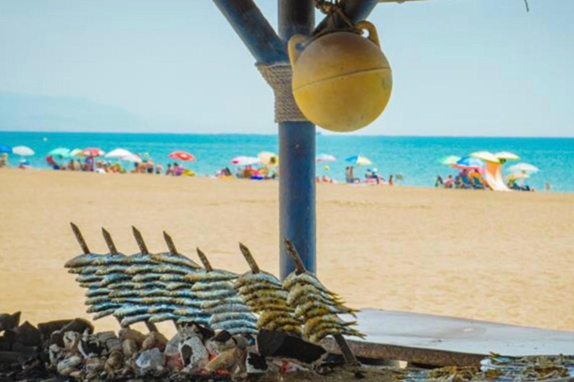- Alicate Beachfront Apartment-9 Apartamento Marbella